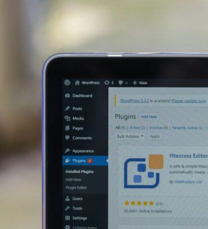 Plugin WordPress
