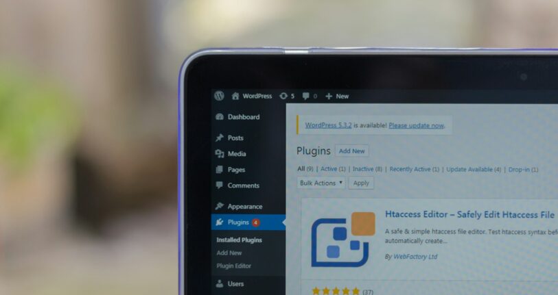 WordPress Plugin